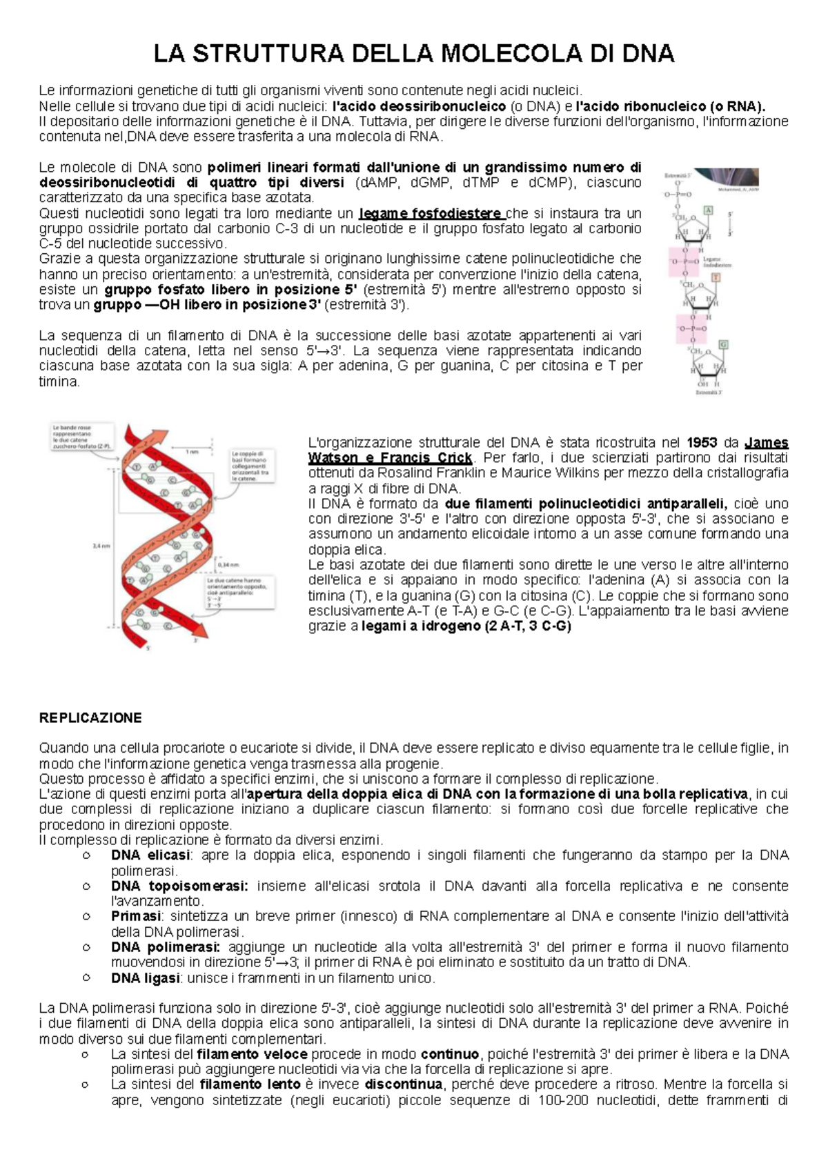 Acidi Nucleici: Struttura e Funzione del DNA e RNA - Appunti - Studocu
