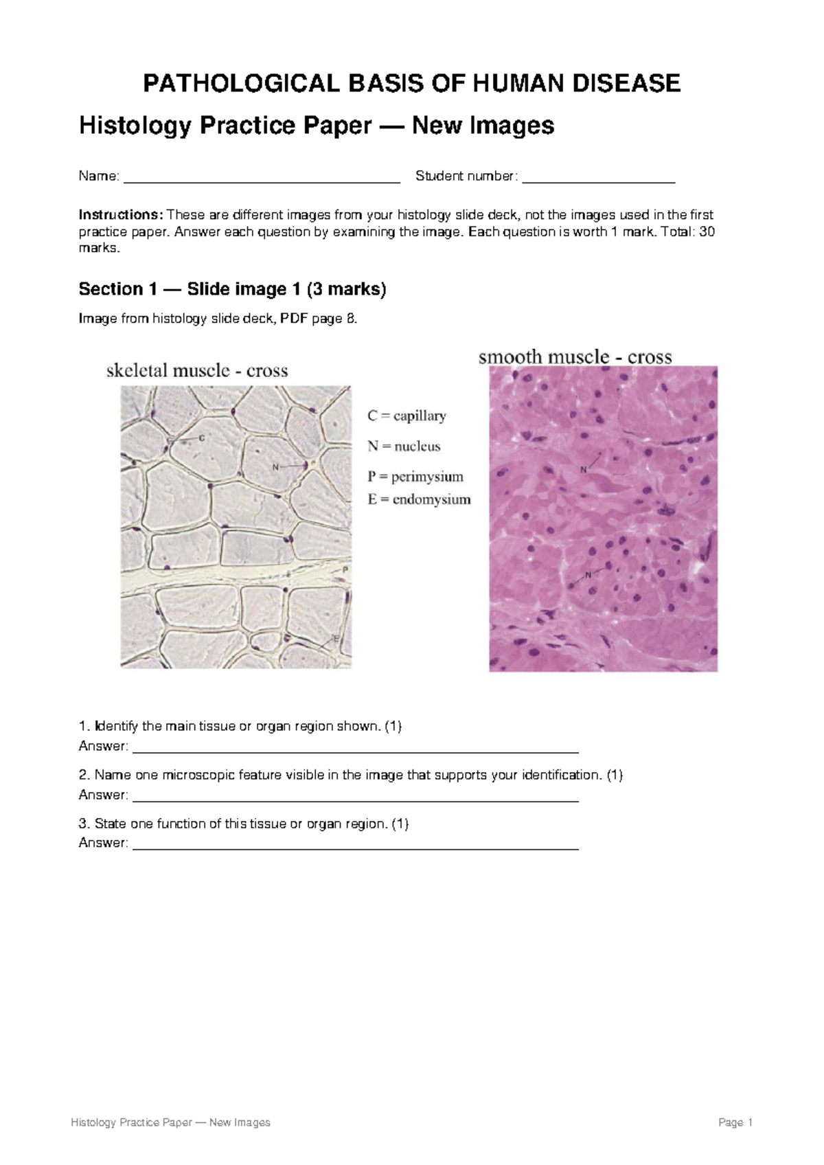 Histology Practice Paper: New Images for PATHO 101 - Studocu