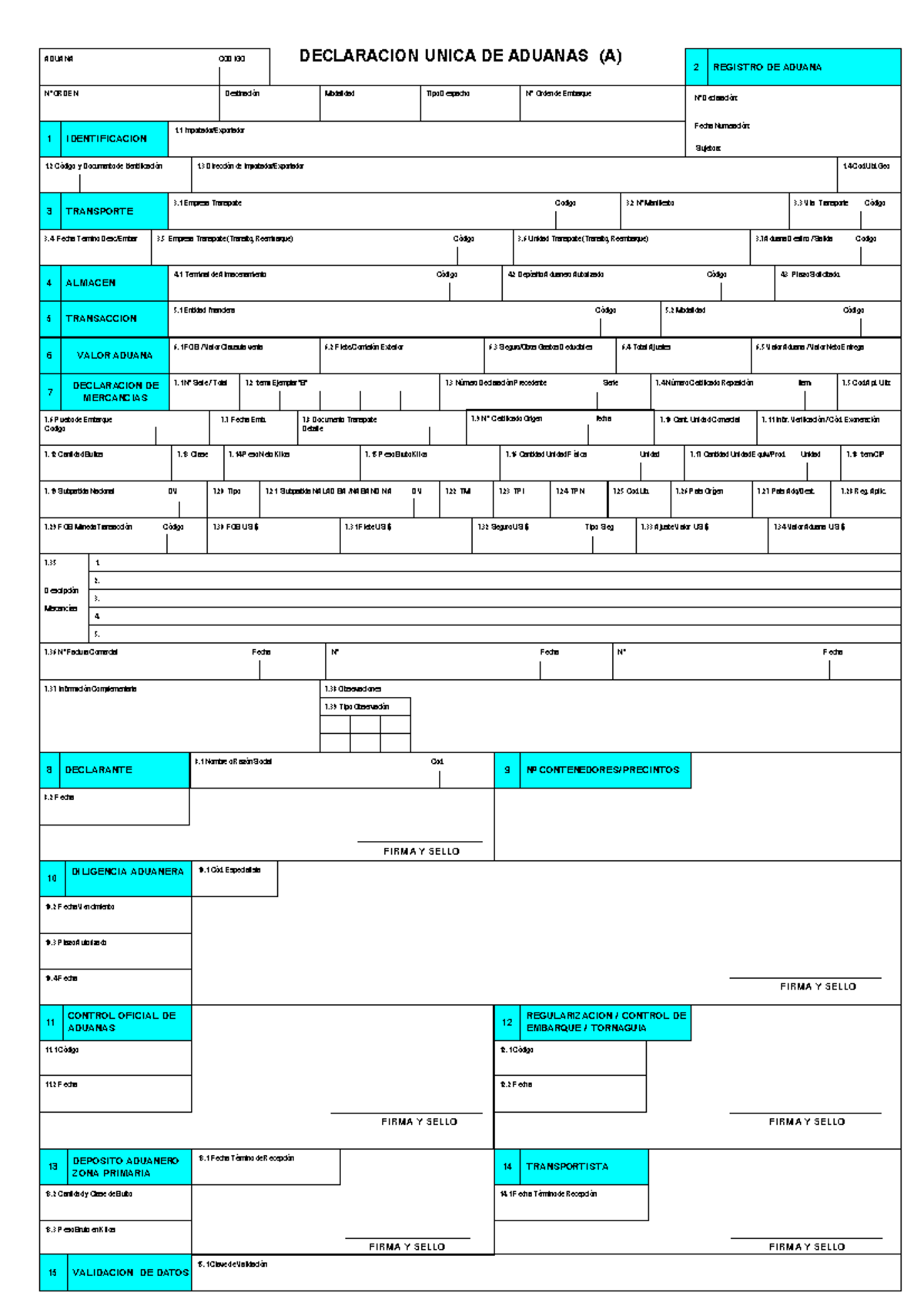 DAM Formato - Plantilla para Declaración Aduanera en Logística - Document Preview