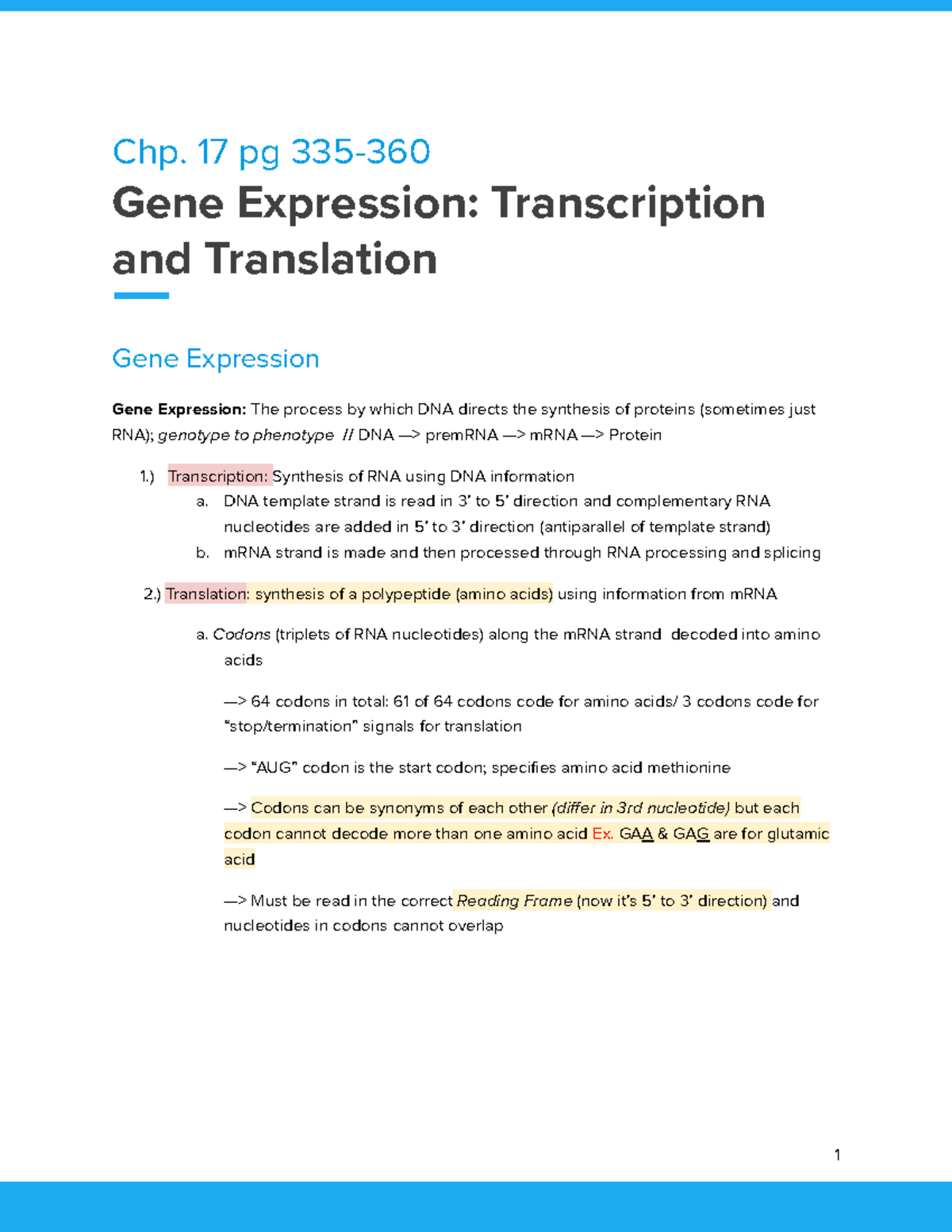 Gene Expression: Transcription & Translation (Part 12 Notes) - Studocu