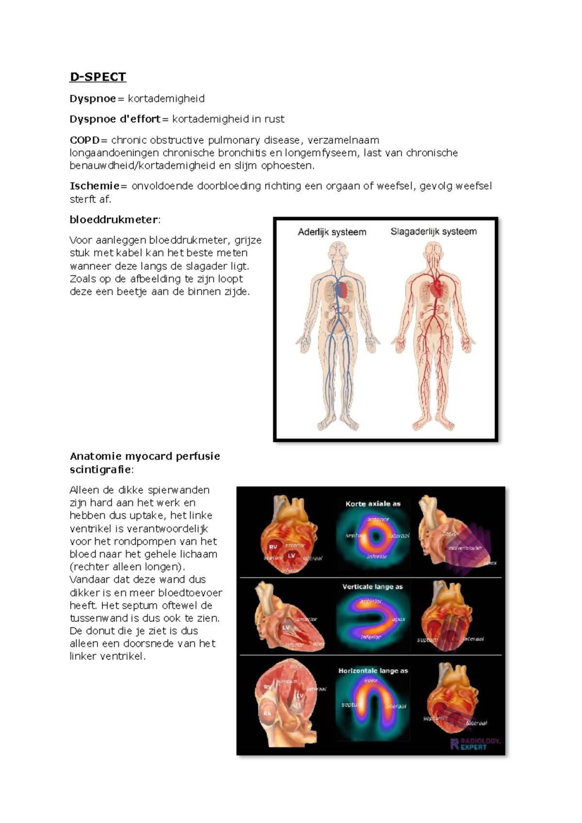 D-SPECT Anatomie en Medische Termen: Samenvatting en Uitleg - Studeersnel