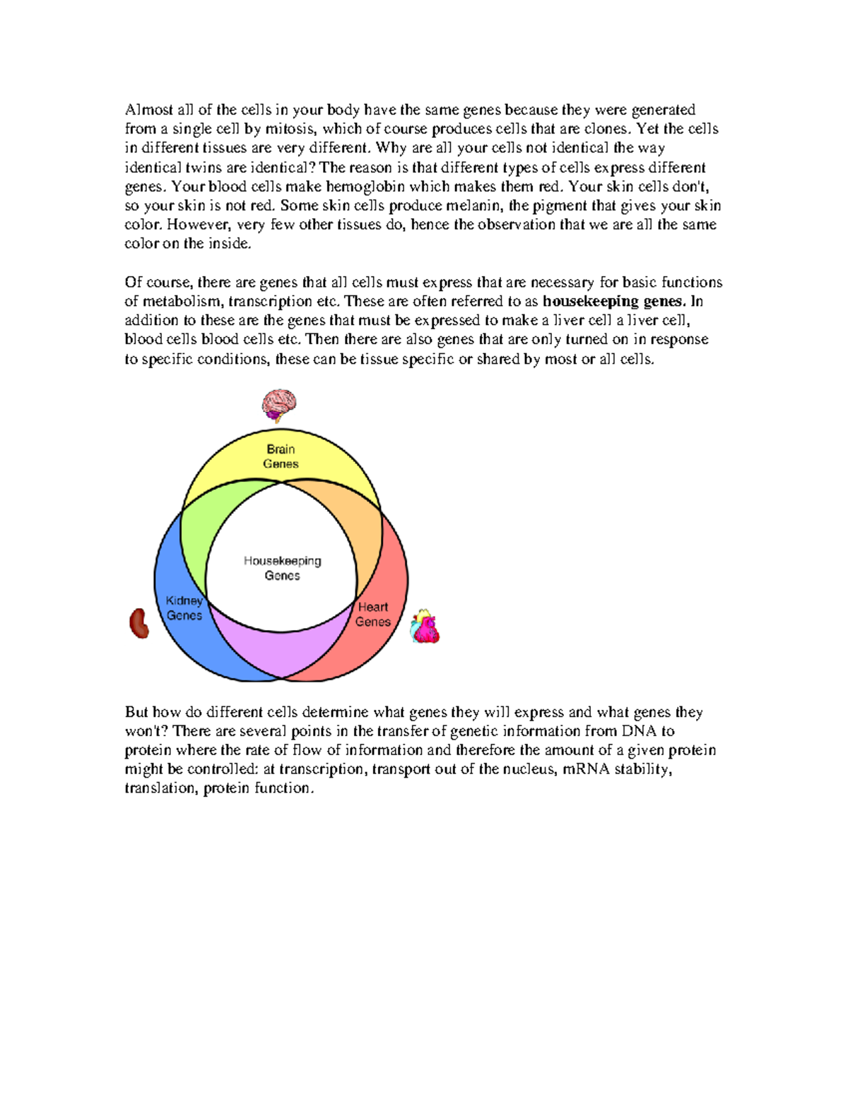 Lecture 10 Notes: Gene Expression Regulation and Cell Differentiation ...