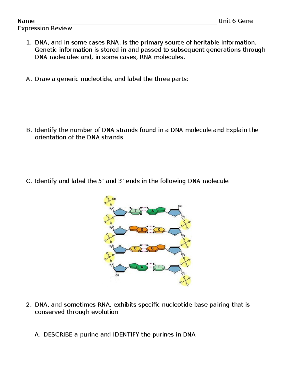 AP+Biology+Unit+6+Review+Guide+Spring+2023 - - Studocu