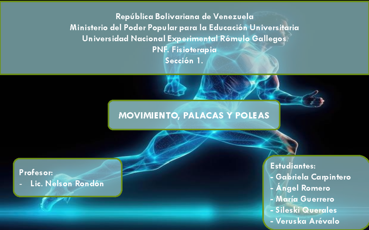 Movimientos, Palancas y Poleas en Fisioterapia (PNF) - Estudio Completo - Document Preview