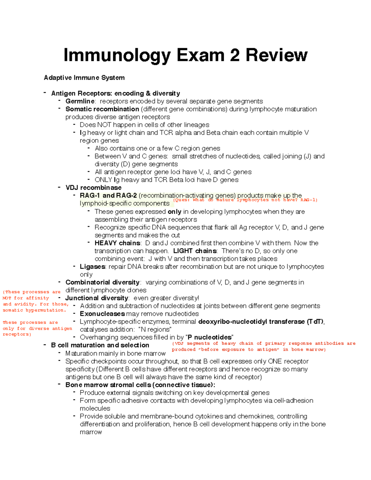 Immunology Exam 2 Review: Comprehensive Study Guide for Success - Studocu