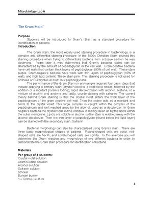 Gram Staining - Study Notes & Assignments - Studocu