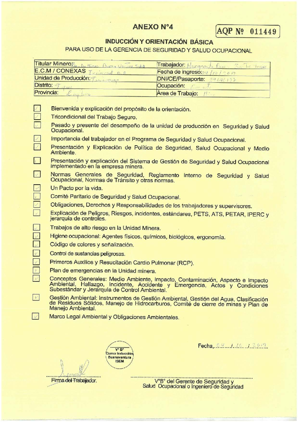 Inducción y Orientación en Seguridad y Salud Ocupacional - ISEM - Document Preview