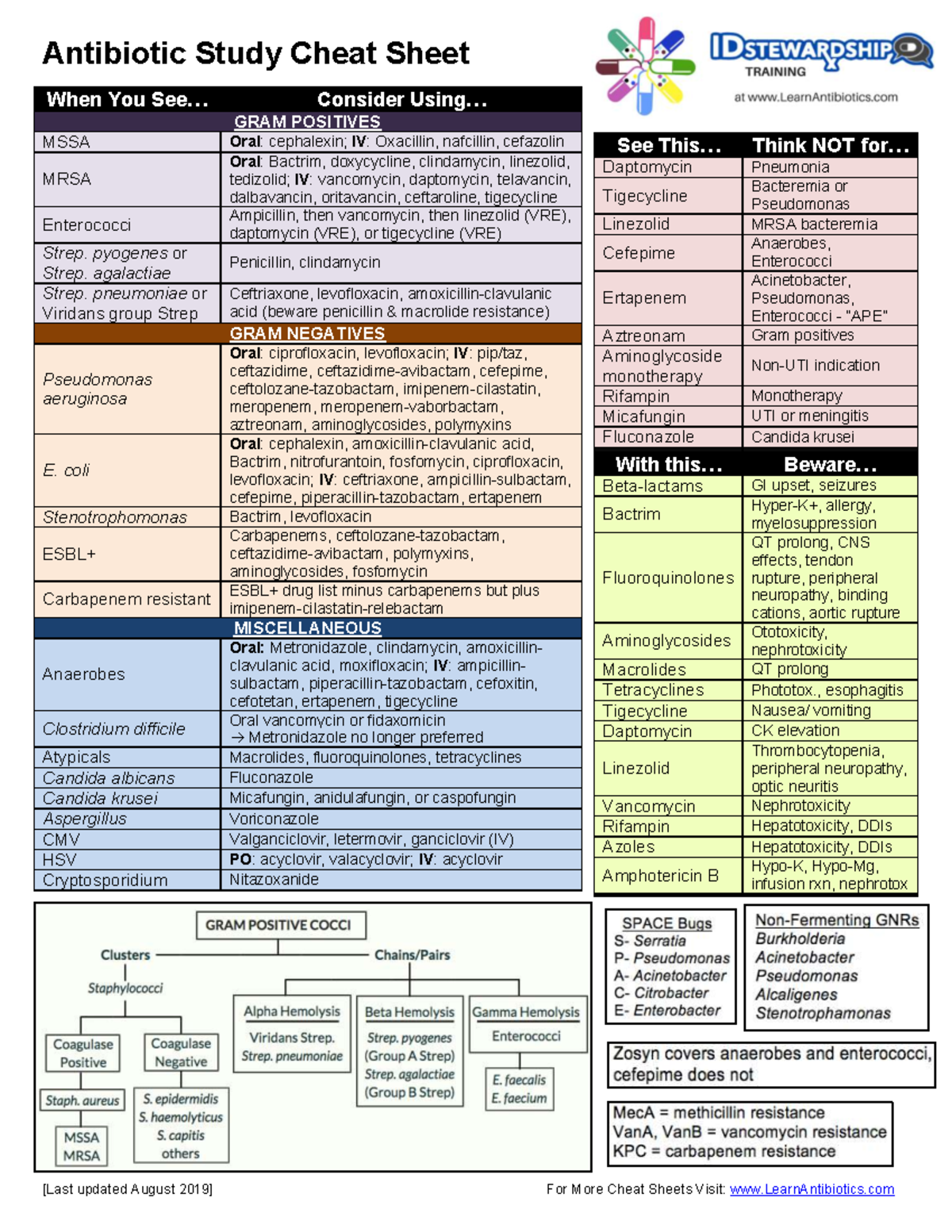 Antibiotic Study Cheat Sheet: GRAM POSITIVES & NEGATIVES Guide - Studocu