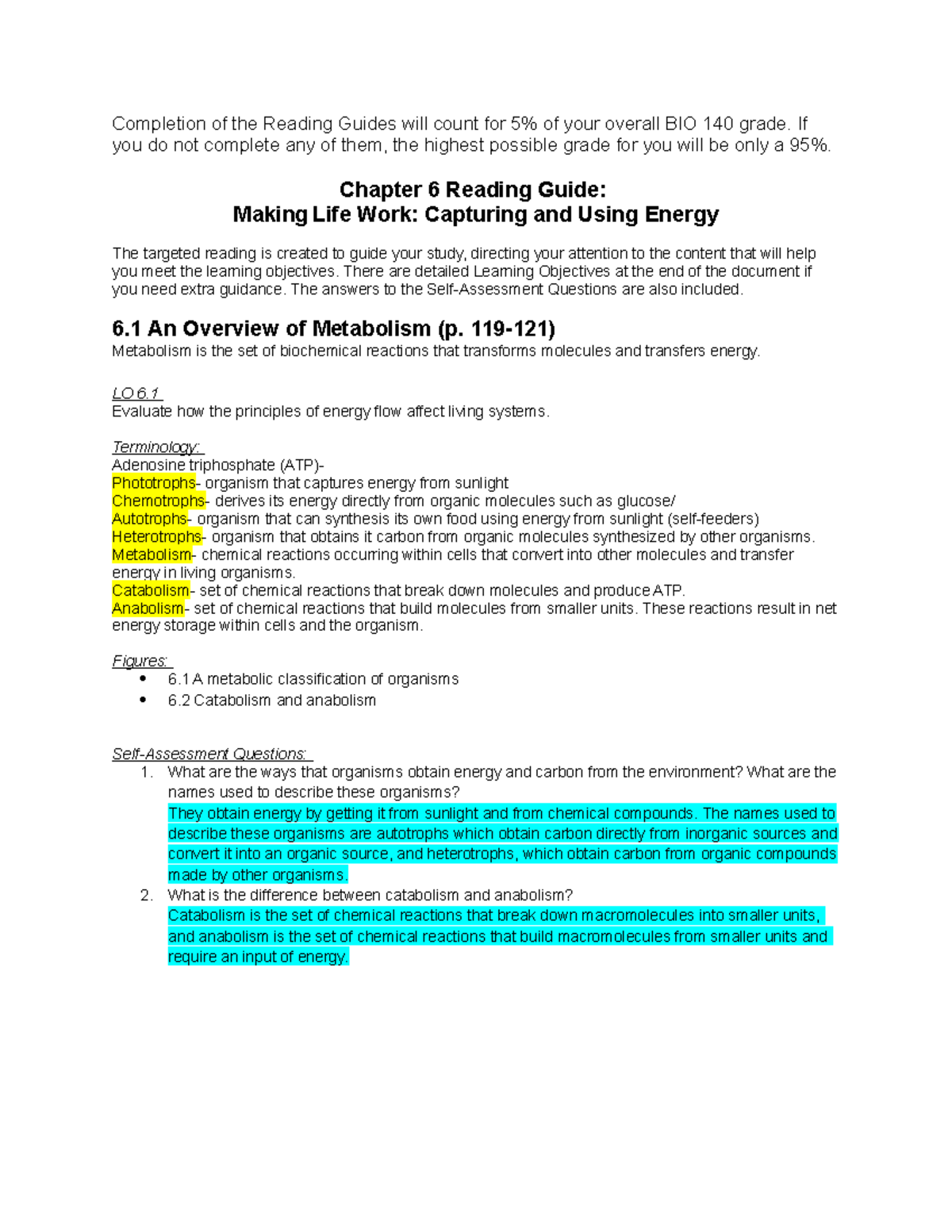 BIO 140 Ch 6 Reading Guide: Energy, Metabolism, and Enzymes - Studocu
