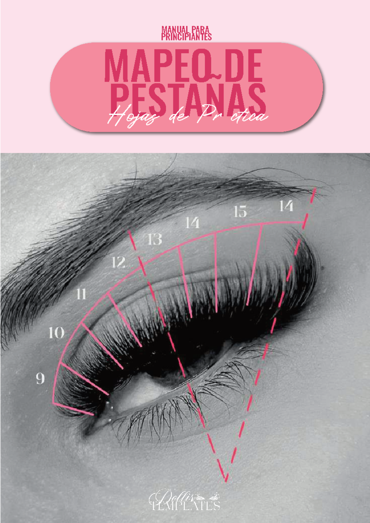 MANUAL PARA PRINCIPIANTES EN MAPEO DE PESTAÑAS: TÉCNICAS Y EFECTOS ...