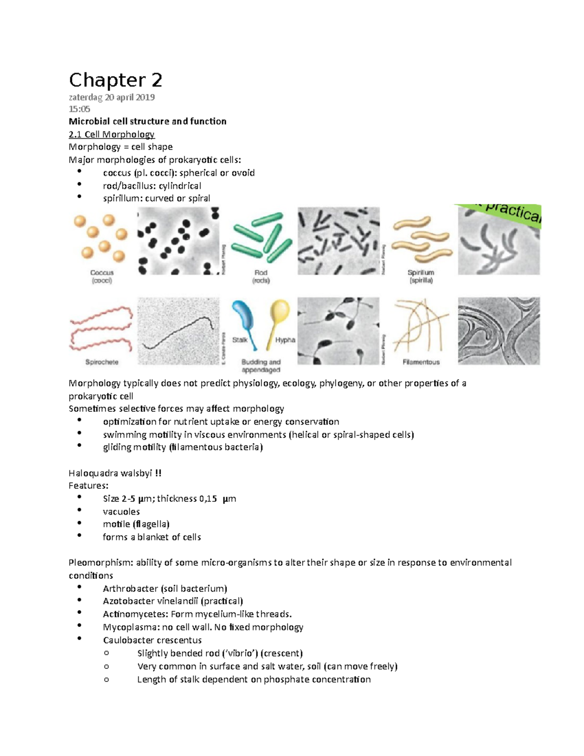 MIB Chapter 2 - Microbial Cell Structure & Function Lecture Notes ...