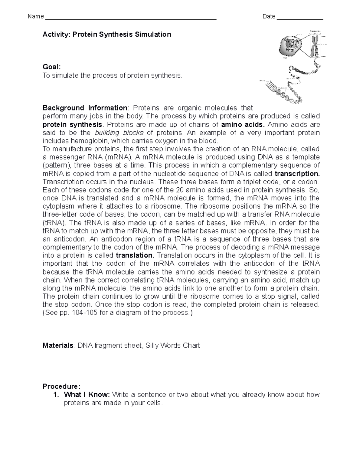 Protein Synthesis 2 - he he he - Activity: Protein Synthesis Simulation ...