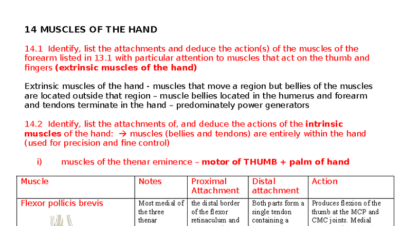 Final Notes on Hand Muscles and Functions - FMA Module 2 - Studocu