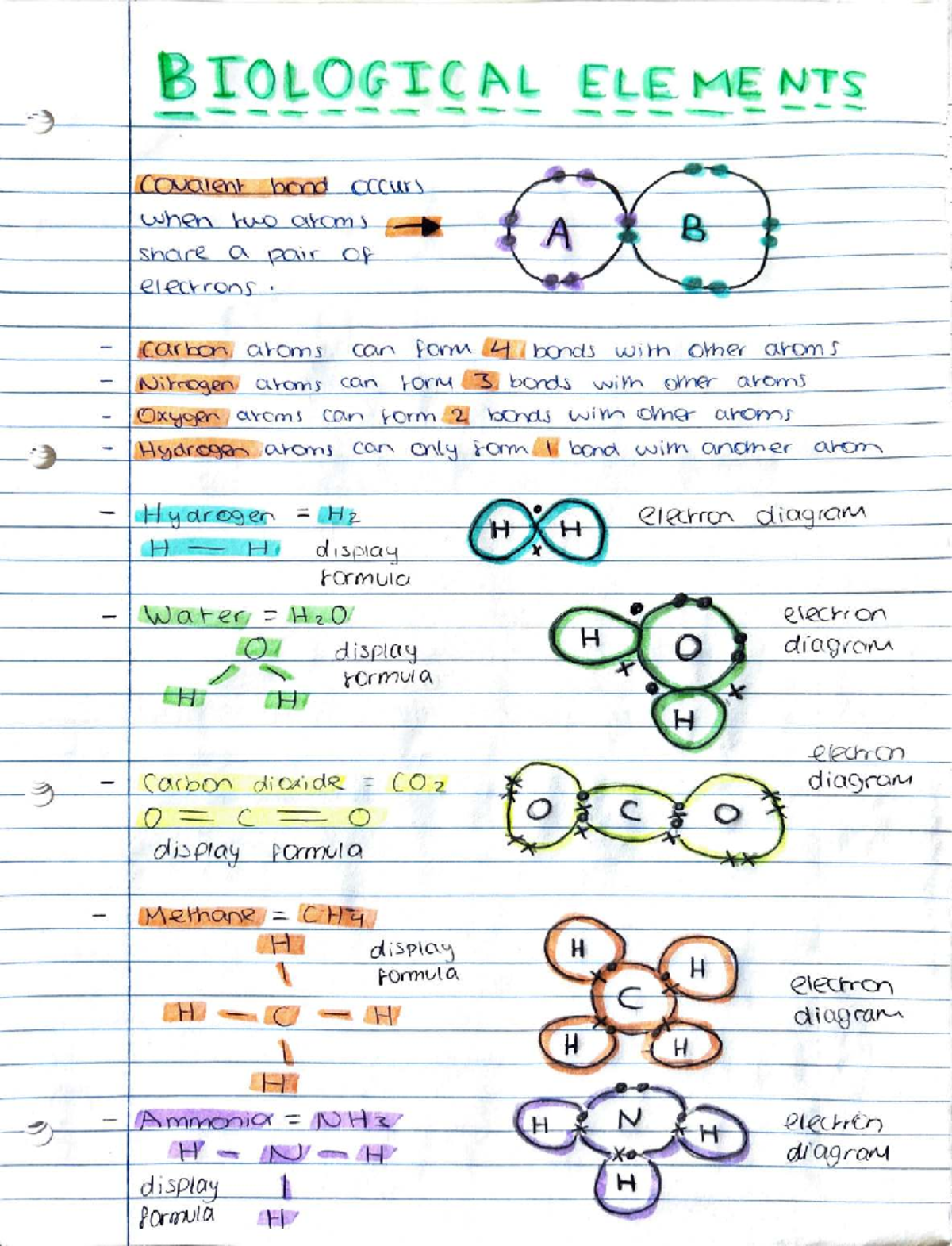 Biological Molecules - Revision Sheet (BIO 101) - Studocu