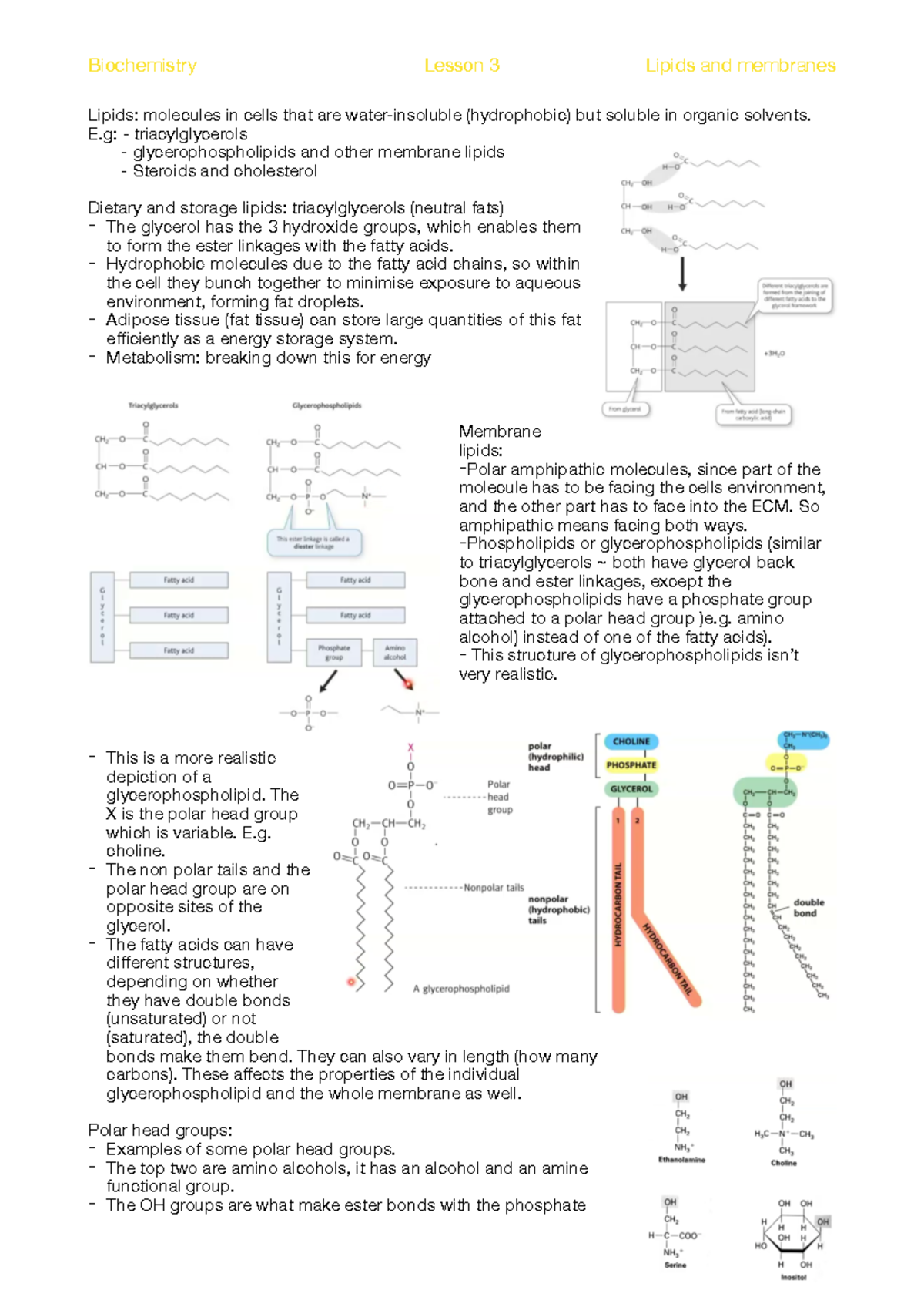 4) Lipids and Membranes Analysis: Key Concepts and Structures - Studocu