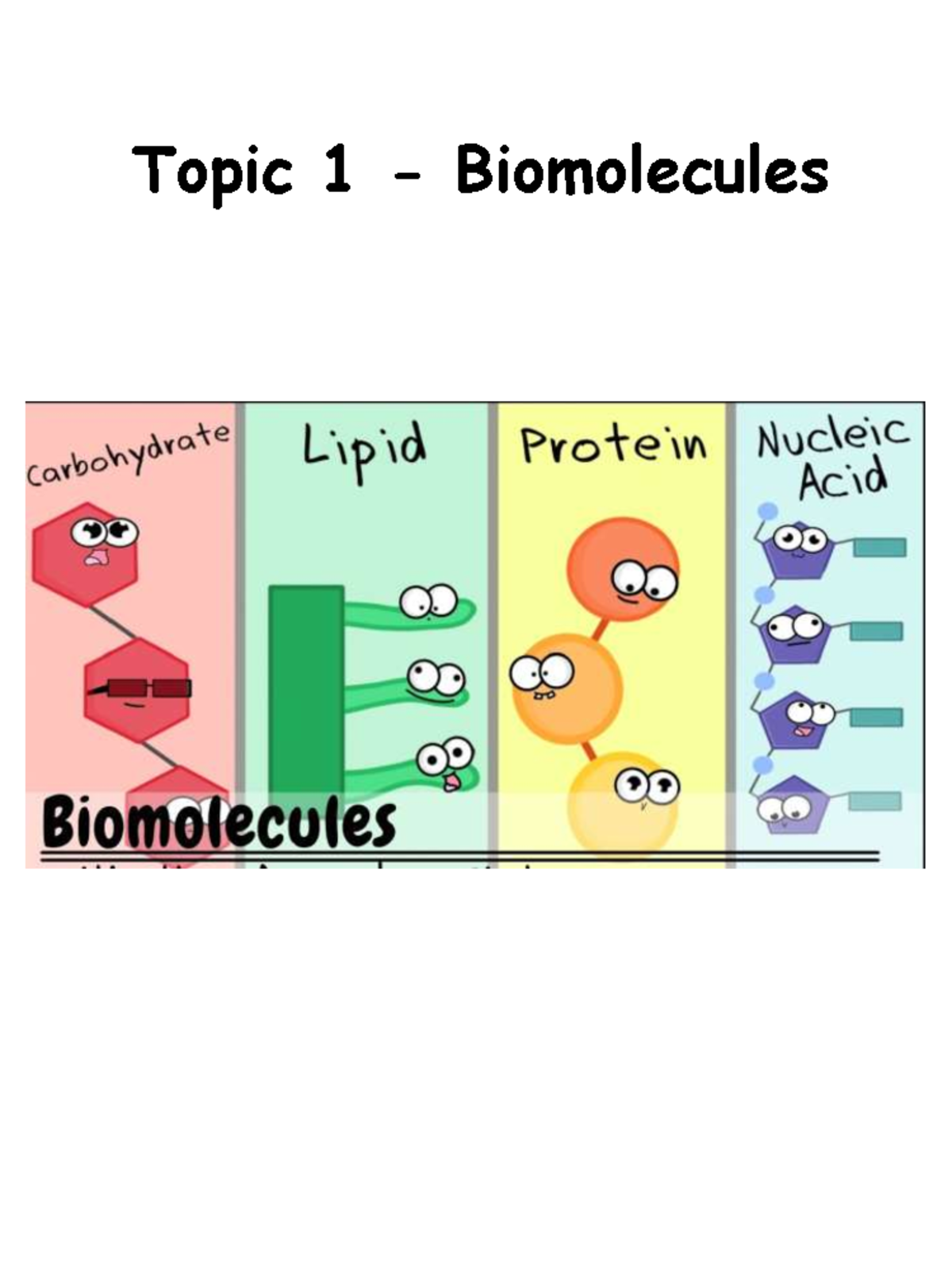 Topic 1: Comprehensive Guide to Biomolecules and Their Roles - Studocu