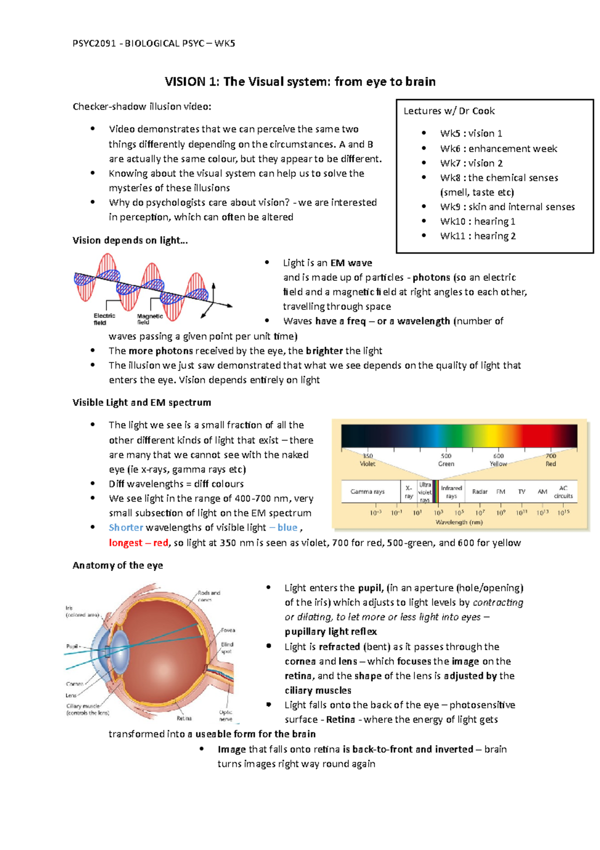 WK5 Vision 1 - Lecture notes 5 - VISION 1: The Visual system: from eye ...