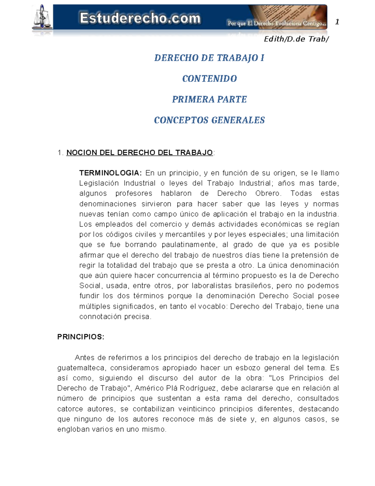 Derecho del Trabajo I: Conceptos Generales y Principios Fundamentales ...