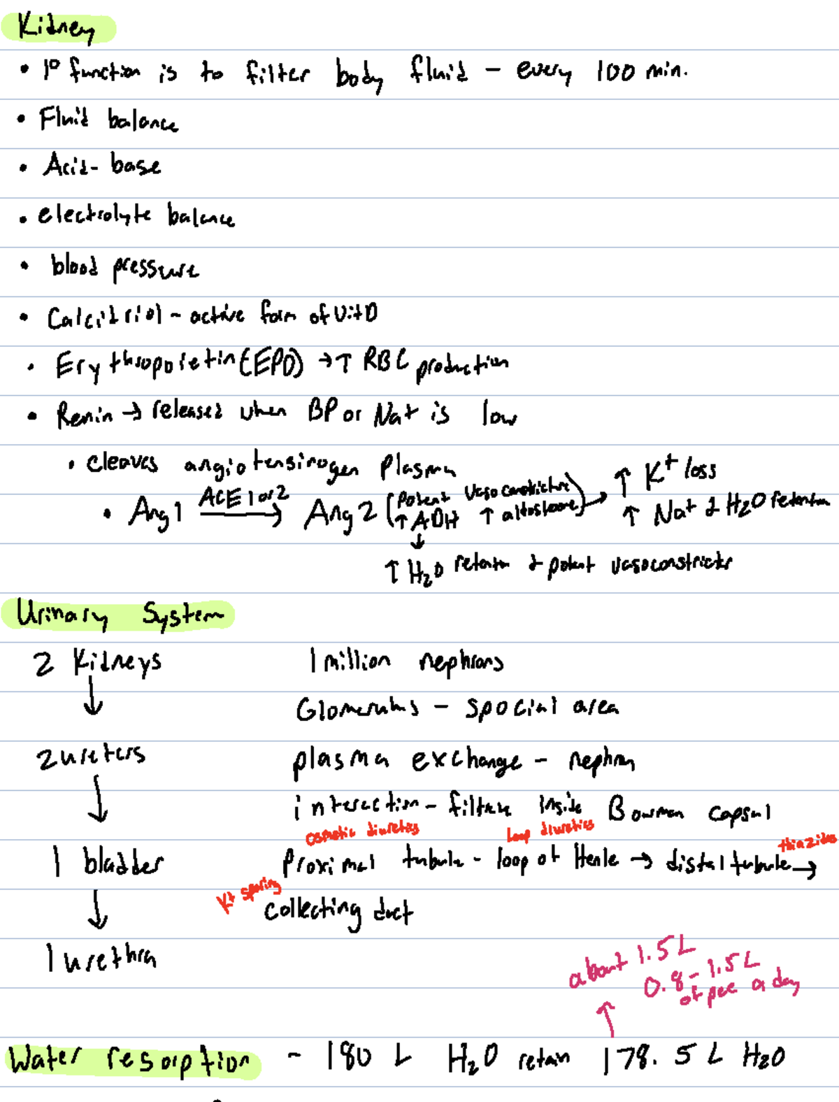 Fluid and Electrolyte Management: Kidney Function & Diuretic Therapy ...