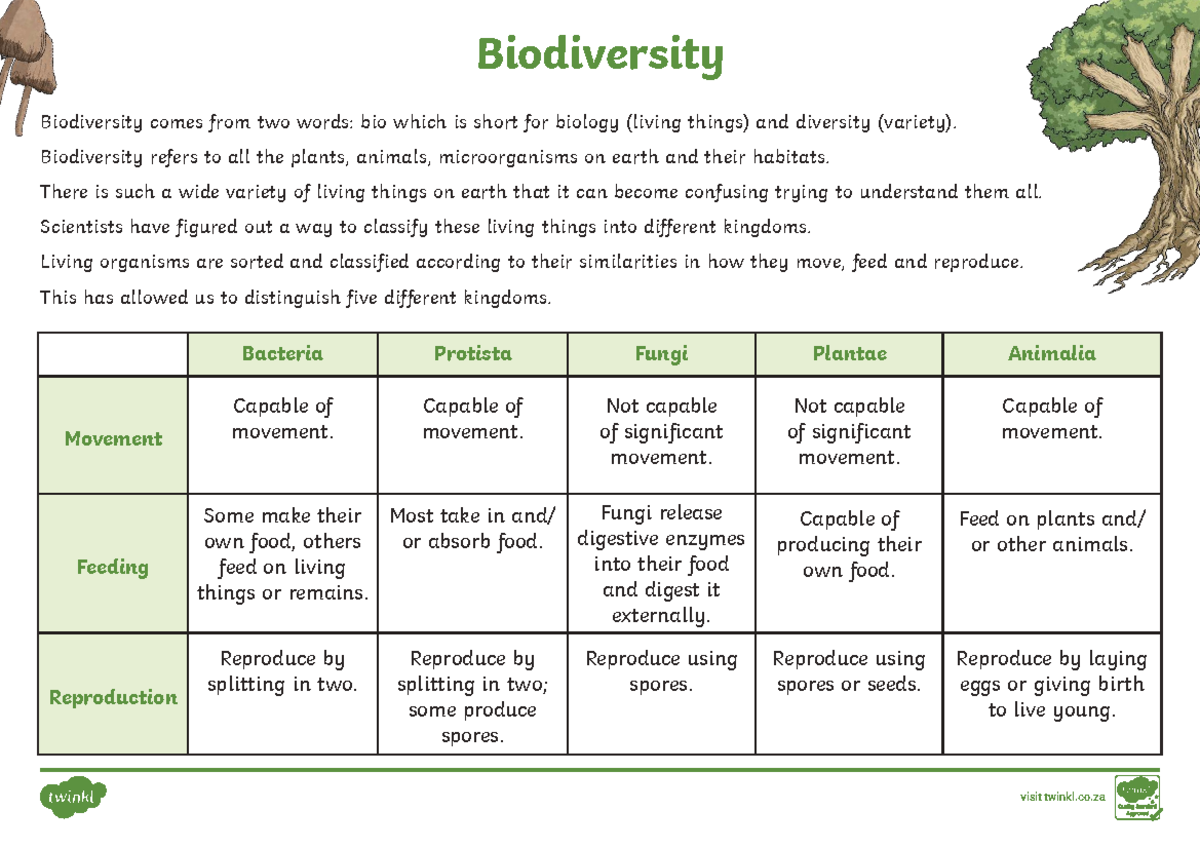Biodiversity - Worksheets on Classification and Kingdoms - Studocu