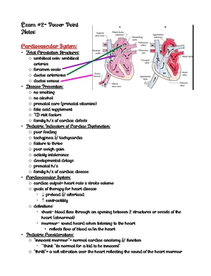 Peds 3600 Exam 3 Notes: Key Topics & Interventions for Pediatric Care ...