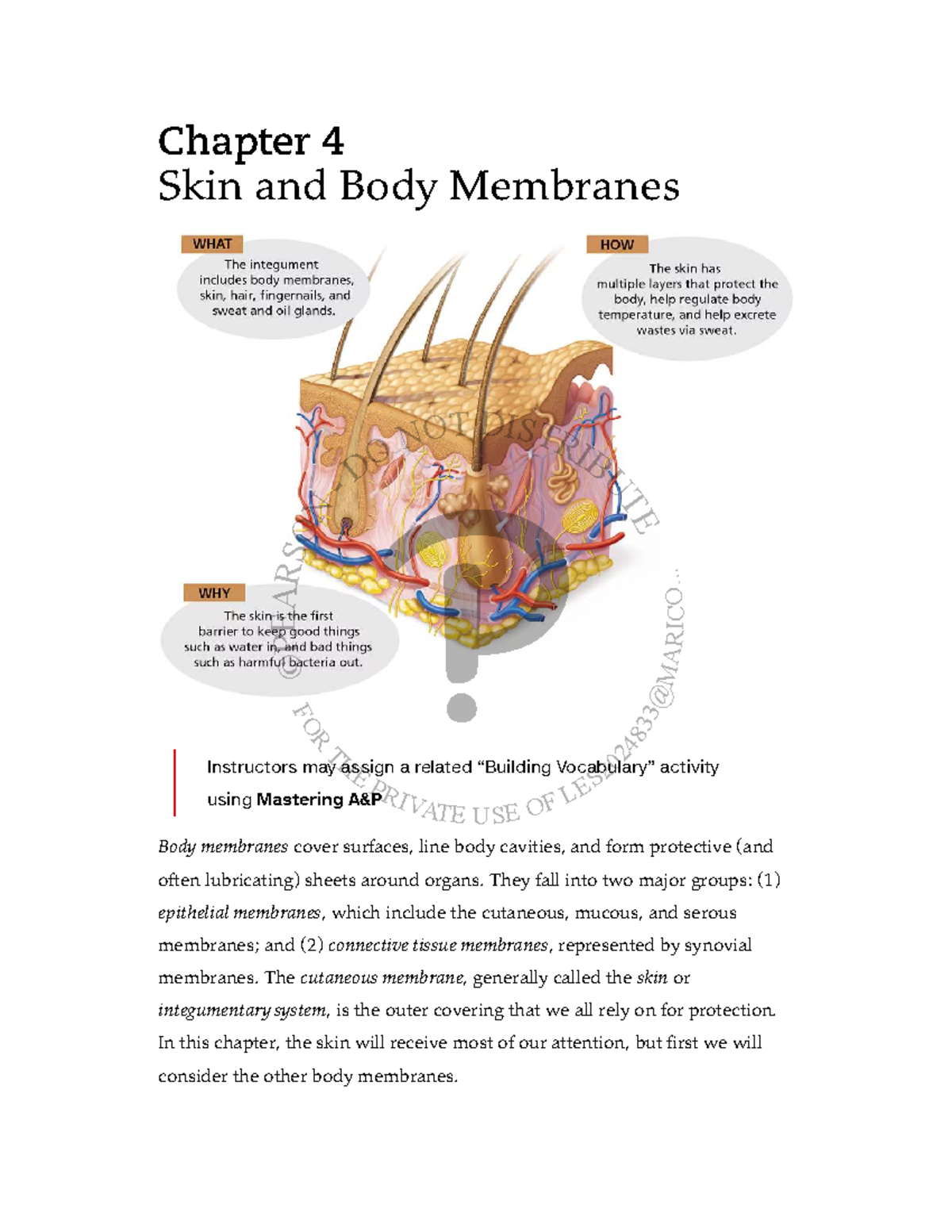 B R 24 FO 83 Chapter 4: Skin and Body Membranes Study Guide - Studocu