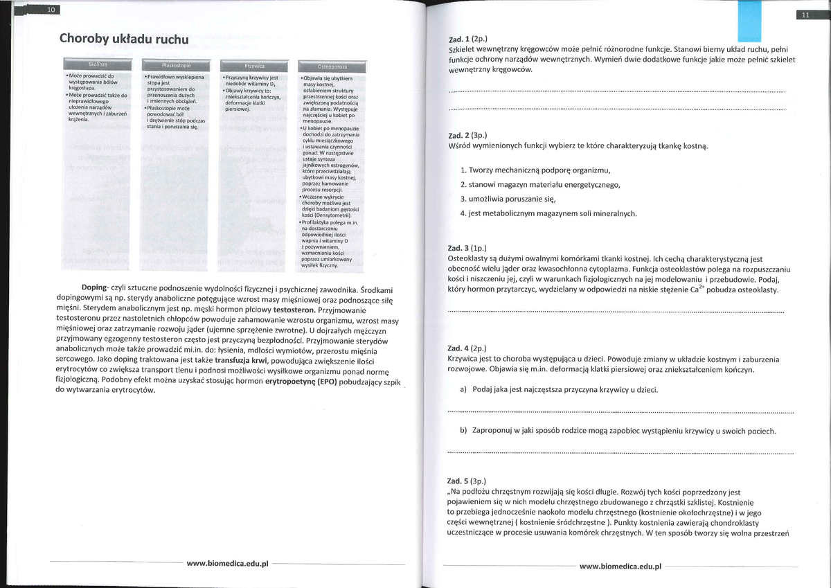 świat Biologii 2 Układ Ruchu Sprawdzian Chomikuj