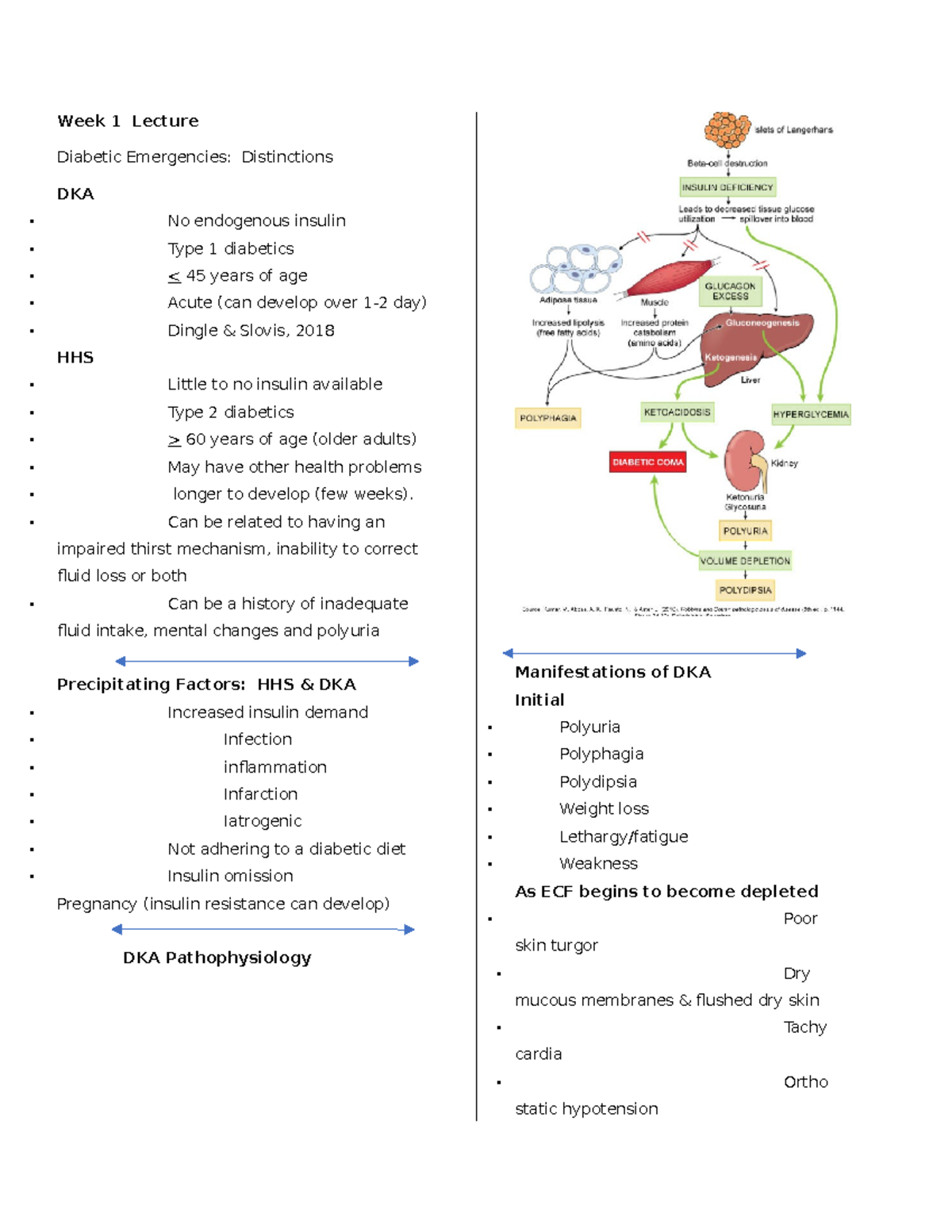 NURS3000 - Midterm Study Notes on Diabetic Emergencies and ICP - Studocu