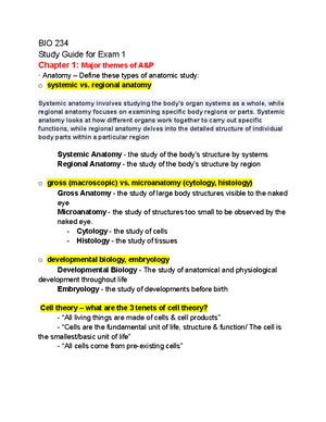 BIO 234 Anatomical regions Labeling - BIO 234 - BIO 234 A&P I ...