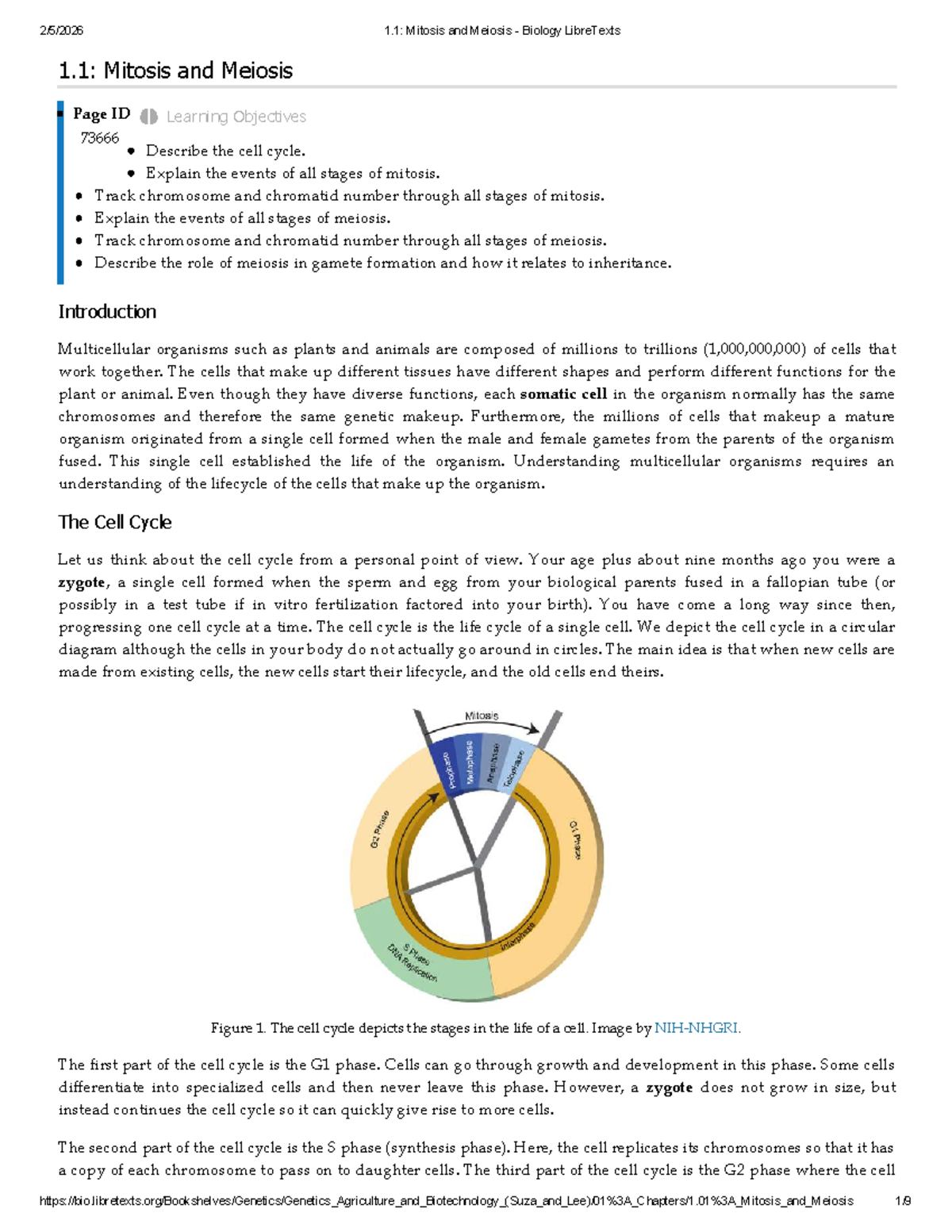 Biology 101: Mitosis and Meiosis Overview and Key Concepts - Studocu
