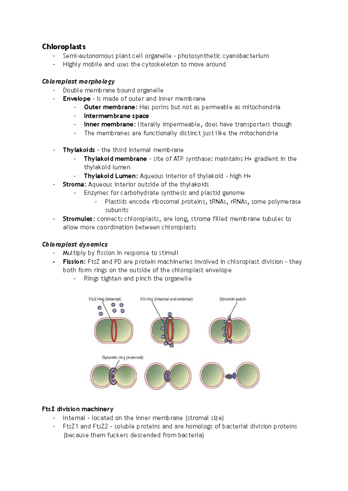 MCB 2050 LECT 15 - Lecture notes for the final lecture - Chloroplasts ...
