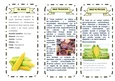 Tríptico sobre el Maíz: Tradición y Nutrición