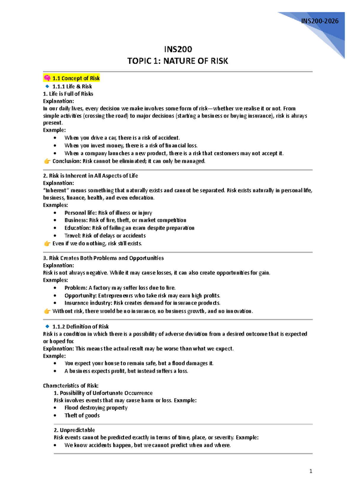 INS200 Chapter 1: Understanding the Nature of Risk - Lecture Notes ...