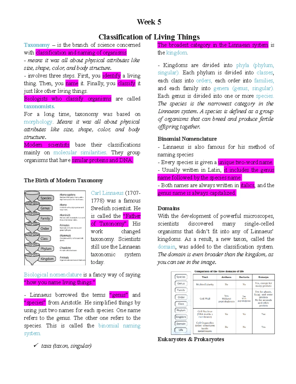 Genbio 2 - Geologic Time Scale Review Notes - Studocu