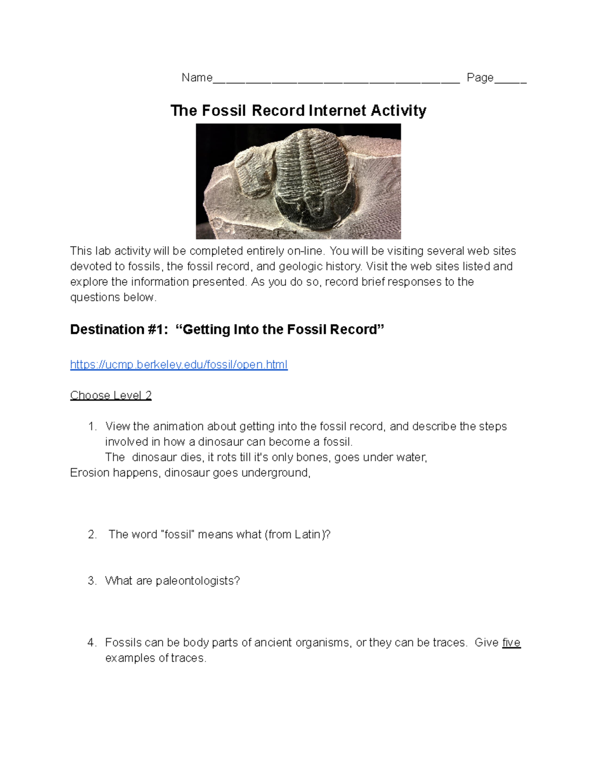 Solene Lerner - Fossil Record Internet Activity - 11763837 - - Studocu