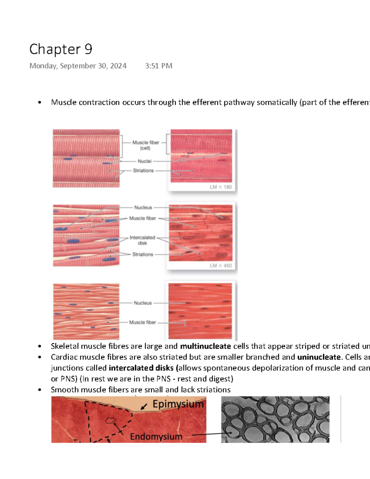 Chapter 9: Muscle Contraction Mechanisms and Motor Unit Function - Studocu