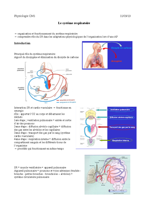 Syst Me Digestif Cours Le Syst Me Digestif I Caract Ristiques G N Rales A Les Organes Du