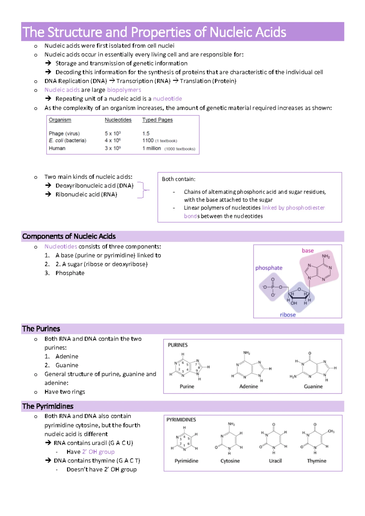 BIOC2201 Practical 2 Student Notes Updated - PRACTICAL 2 NUCLEIC ACIDS ...