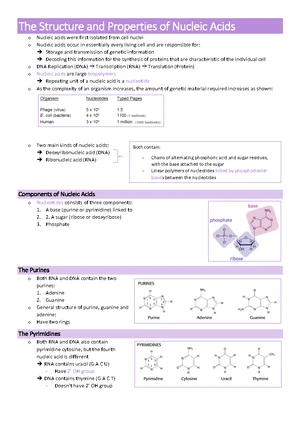 BIOC2201 Practical 2 Student Notes Updated - PRACTICAL 2 NUCLEIC ACIDS ...