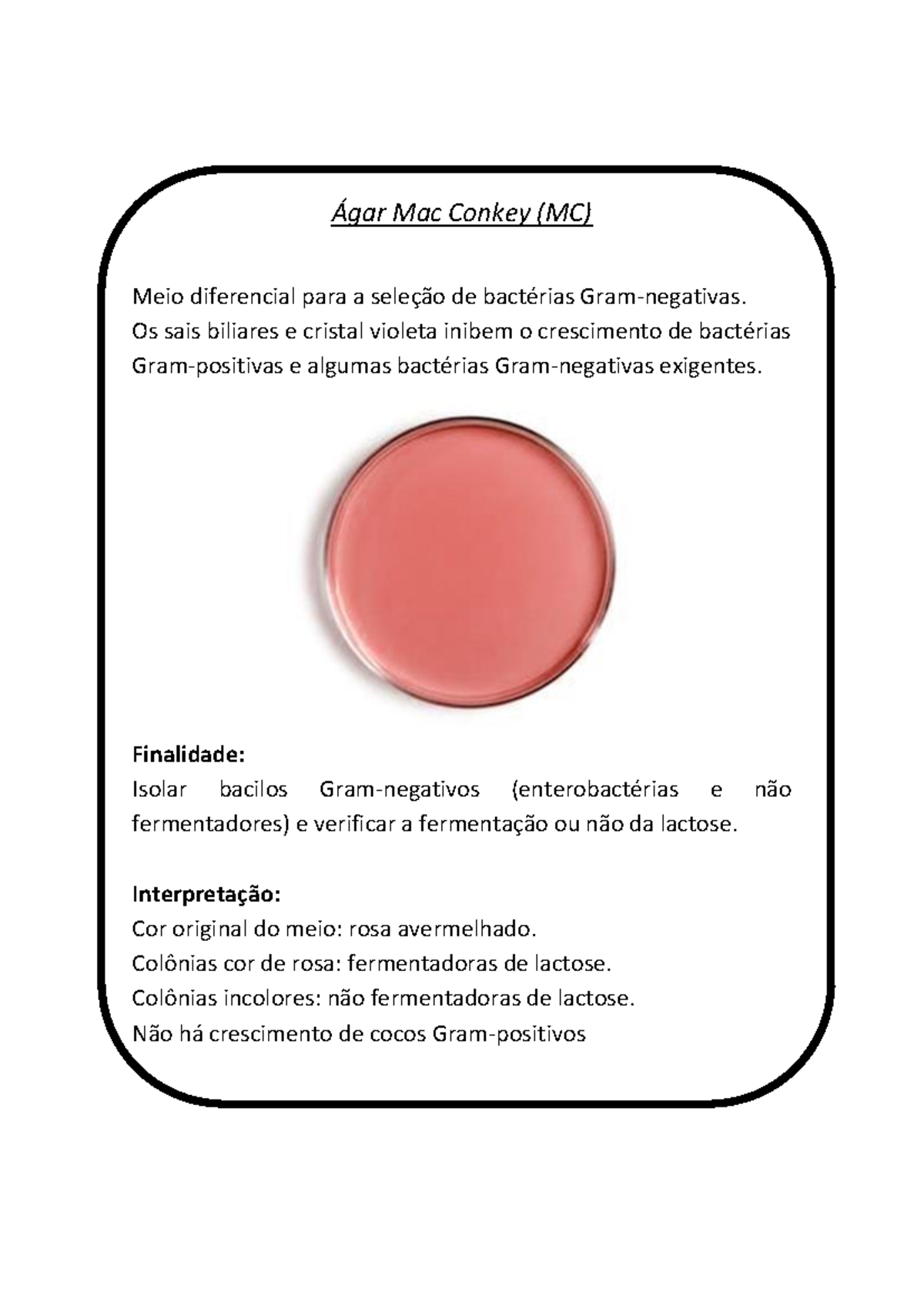 Meio Diferencial e Testes Bioquímicos de Enterobacterias - RUGAI - Studocu