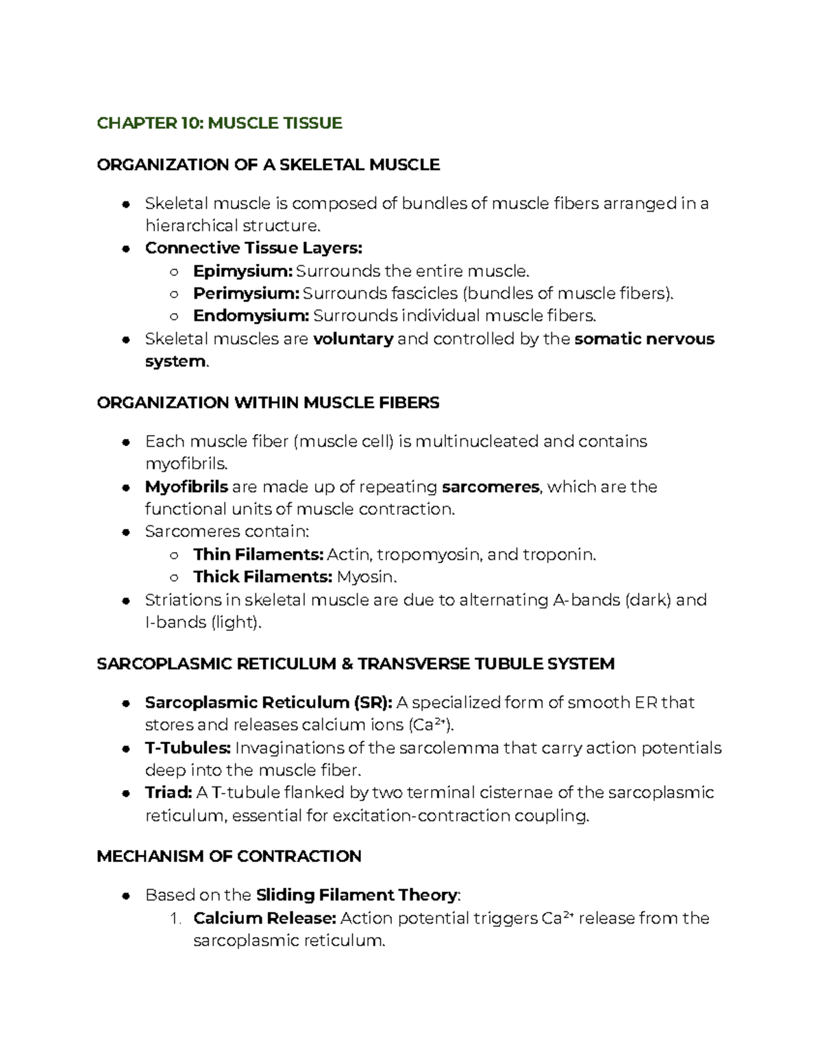 CHAPTER 10: SKELETAL MUSCLE TISSUE ORGANIZATION AND FUNCTION - Studocu