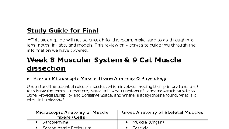 BIOL 2401 Anatomy & Physiology 1 Final Exam Study Guide - Studocu