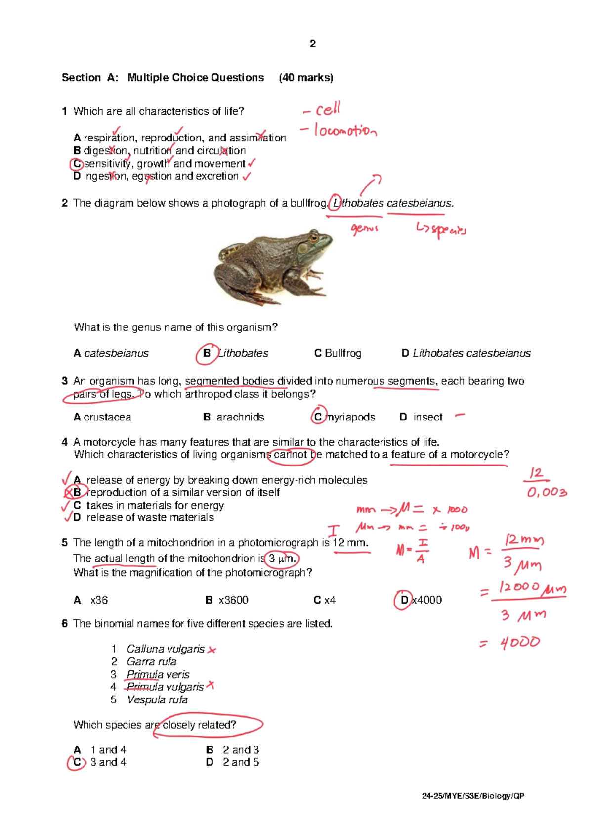 24-25 MYE S3E Biology: Multiple Choice & Structured Questions Answers ...