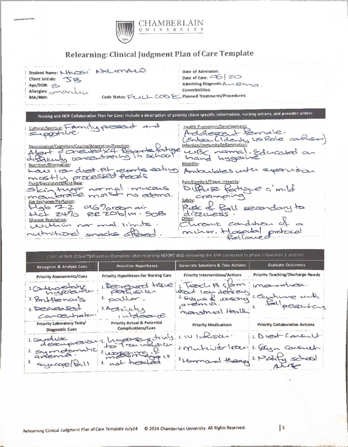 CHAMBERLAIN UNIVERSITY RUA: Clinical Judgment Plan of Care Template ...