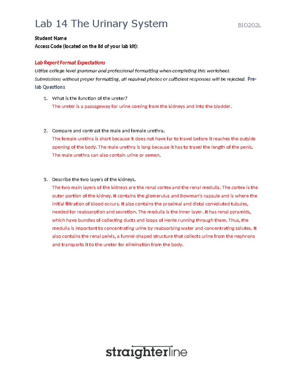 Lab 18: The Reproductive System - BIO202L Lab Report and Observations ...