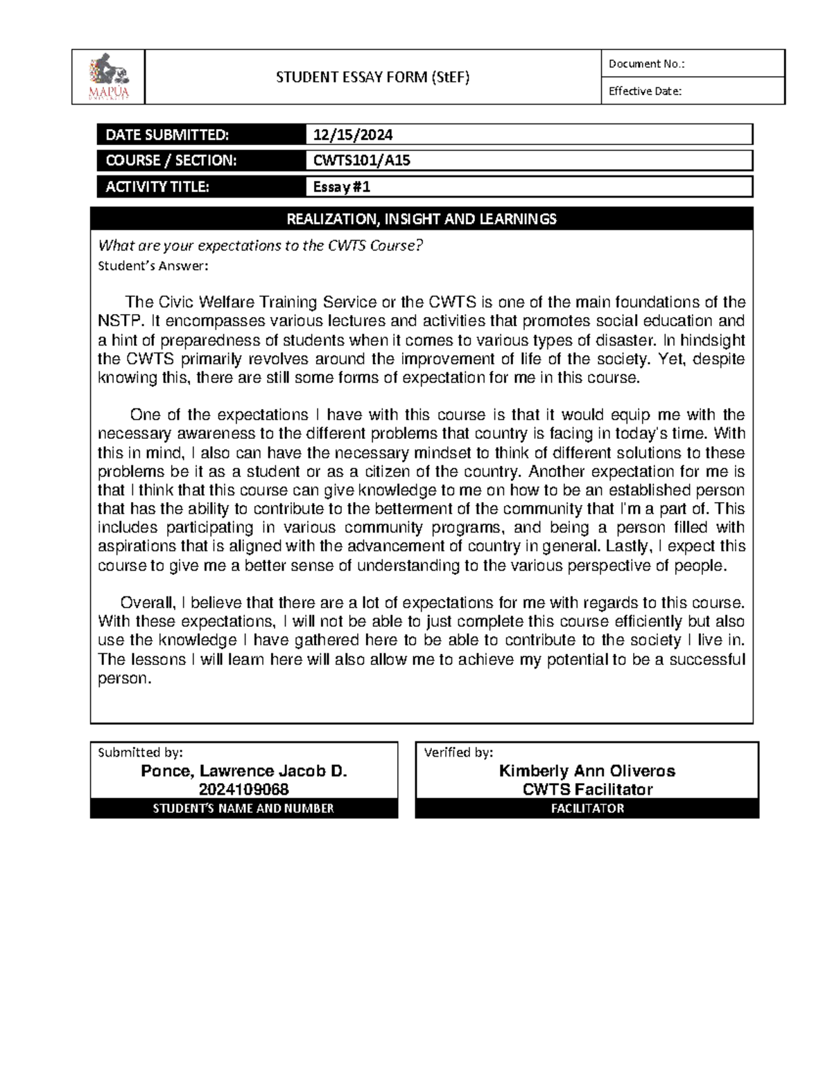 CWTS Essay: Realizations, Insights, and Expectations for the Course ...