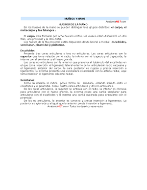 Final anato completo - CRÁNEO La línea de Poirier separa la calota ...