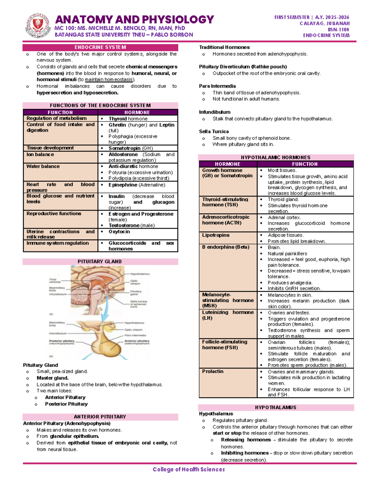 ANATOMY AND PHYSIOLOGY MC 100: ENDOCRINE SYSTEM LECTURE NOTES - Studocu