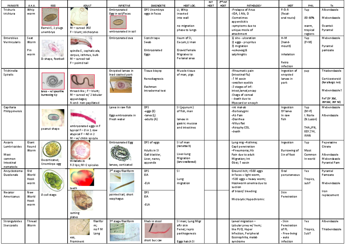 Clinical Parasitology: Comprehensive Tables and Diagnostic Overview ...