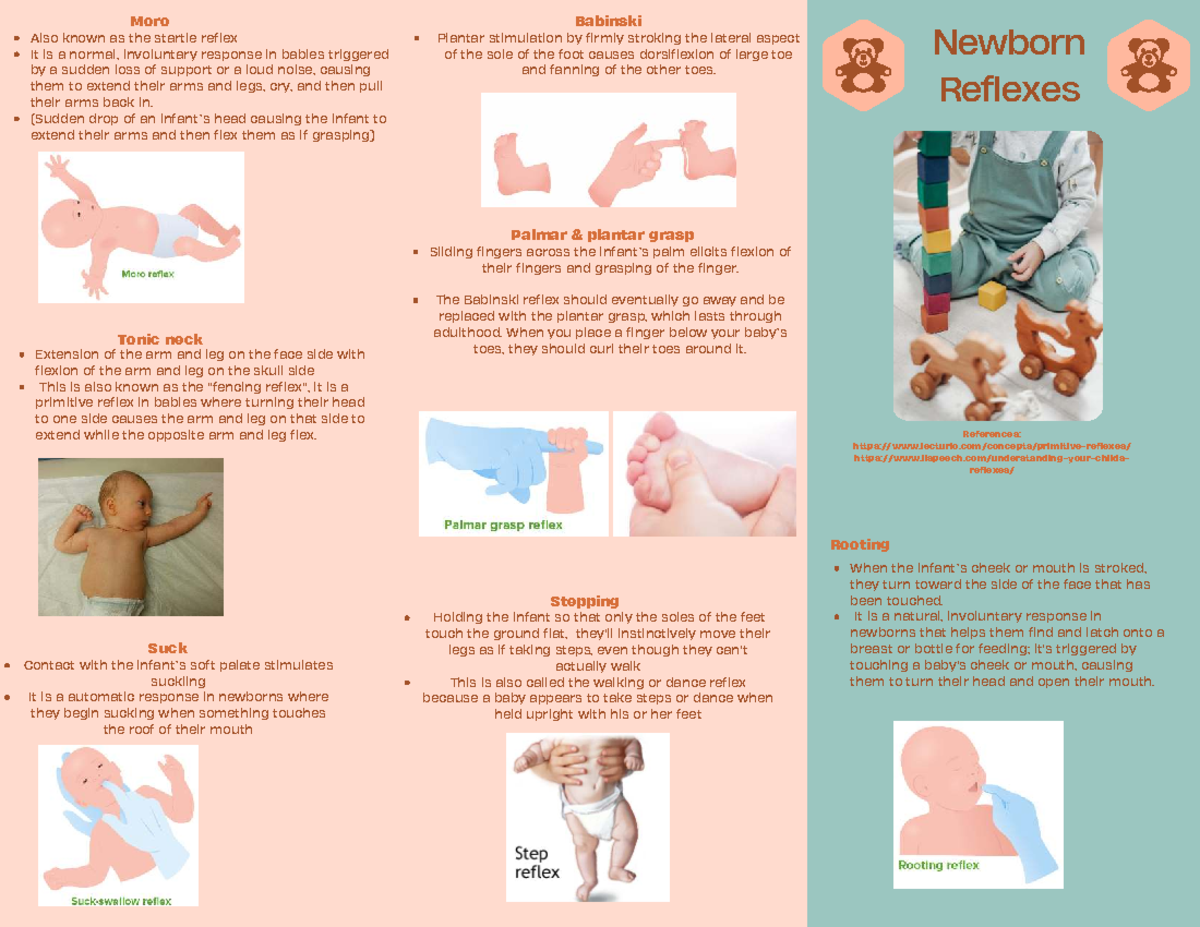 What Are The Primitive Reflexes In Babies